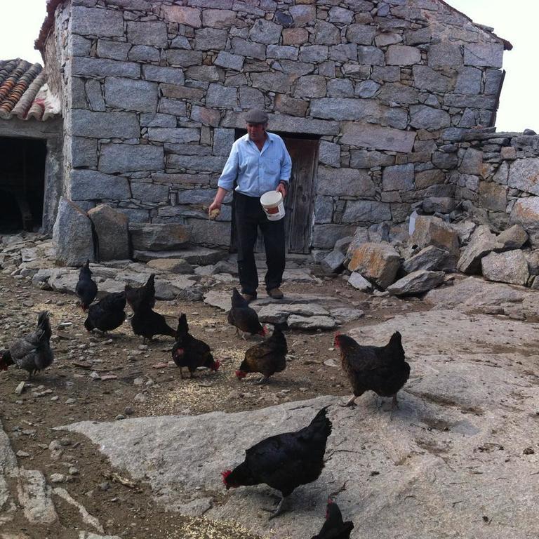 Casa Rural El Linaje De Los Cinco Sombreros Gallegos De San Vicente Extérieur photo
